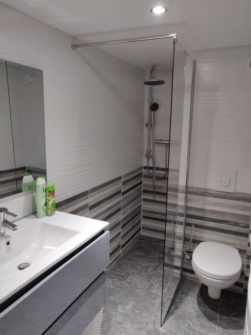 Le Business, Duplex Moderne Special Pro De Passage